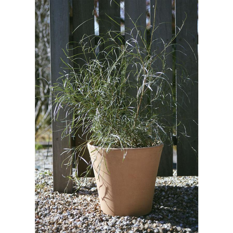 植木鉢 テラコッタ おしゃれ 人気 おすすめ プランター ポット 器