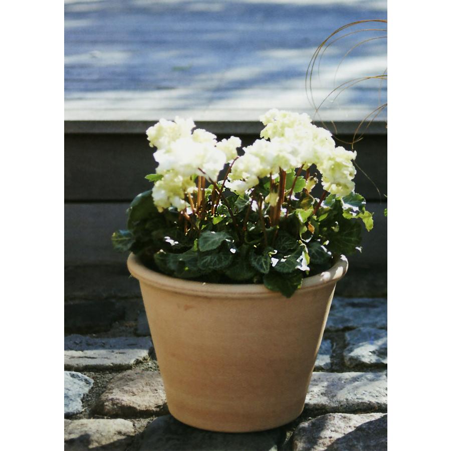 植木鉢 テラコッタ おしゃれ 人気 おすすめ プランター ポット 器