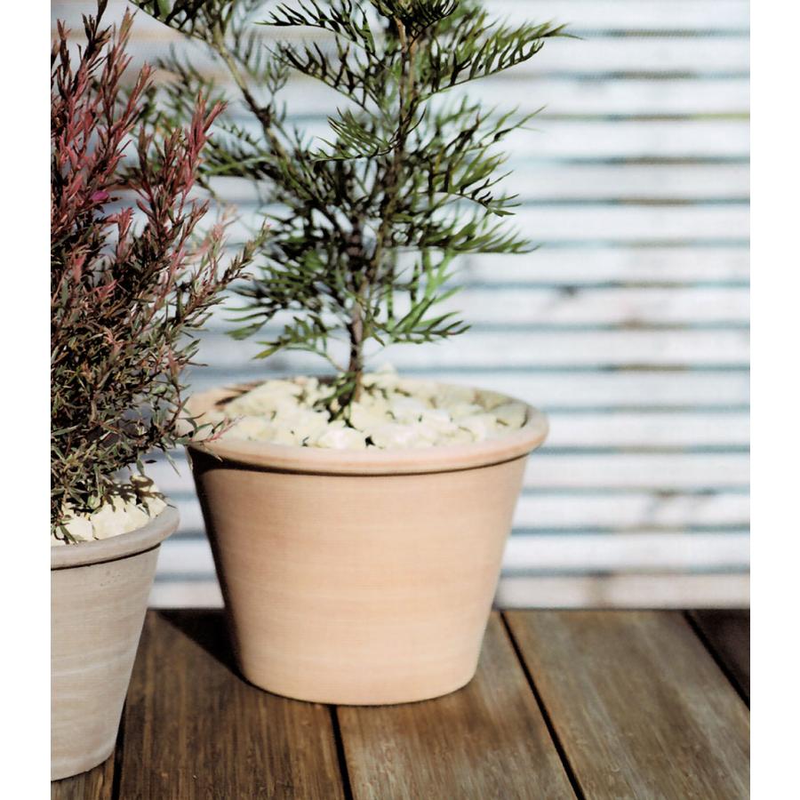 植木鉢 テラコッタ おしゃれ 人気 おすすめ プランター ポット 器
