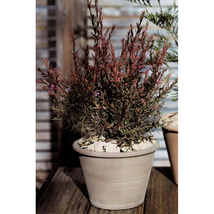 植木鉢 テラコッタ おしゃれ 人気 おすすめ プランター ポット 器