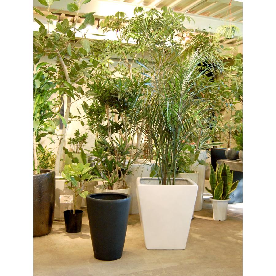 植木鉢 大型 おしゃれ 人気 おすすめ プランター 園芸鉢 観葉鉢 ポット