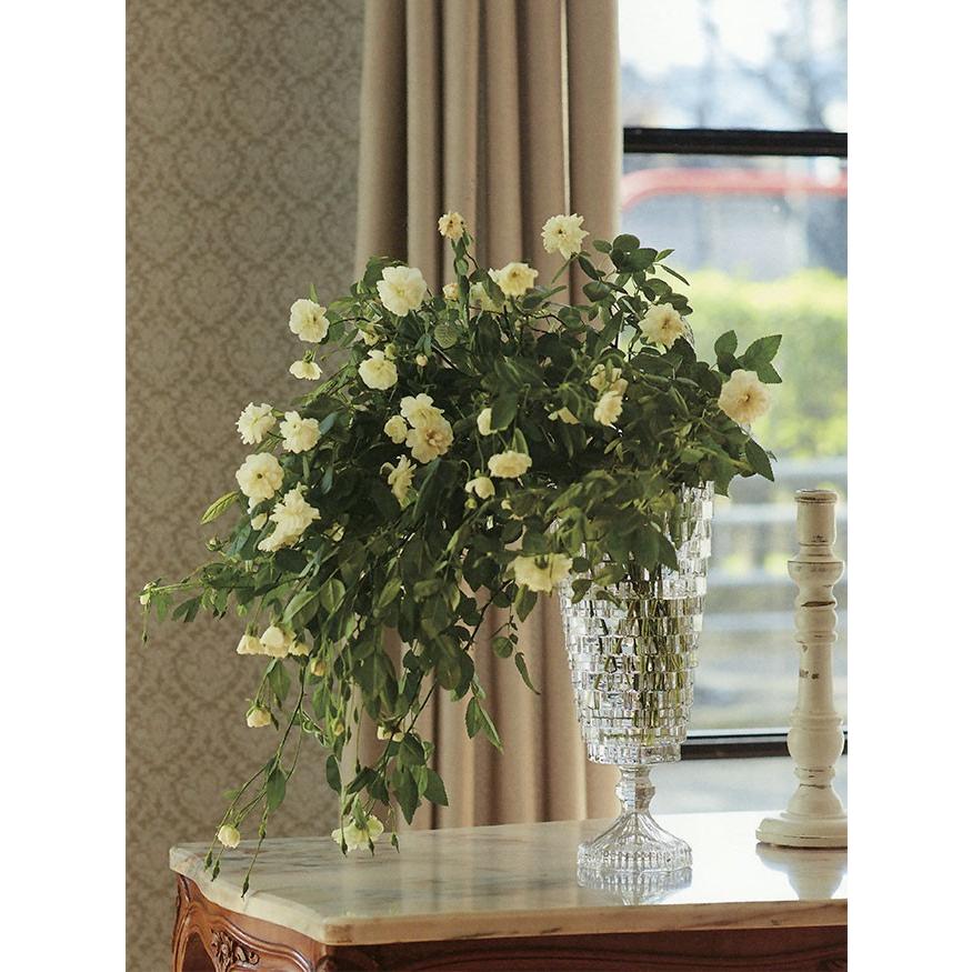 ガラス花器 ピエトラトールs 全高31cm 直径13 5cm フラワーベース 硝子 花瓶 花入れ フラワーアレンジメント 会場装花 Kd Cc 人工観葉植物と造花の通販ケイシン 通販 Yahoo ショッピング