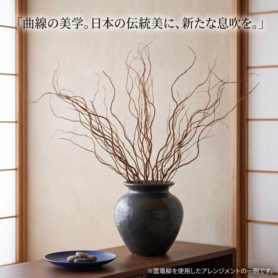 うんりゅう柳 雲竜柳 ドライフラワー 人気 おしゃれ N皮付 ウンリュウ