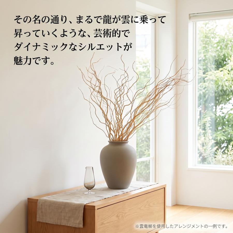 うんりゅう柳 雲竜柳 ドライフラワー おしゃれ N皮むき ウンリュウ