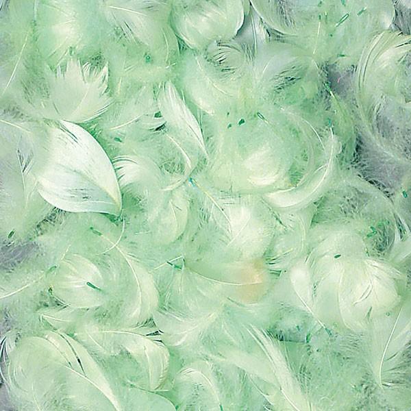 カラーコキール ミントグリーン 造花 全長5 10cm 2袋セット 1袋約9g 2袋 羽 はね 羽根 グースフェザー アーティフィシャルフラワー Kd Dt 人工観葉植物と造花の通販ケイシン 通販 Yahoo ショッピング