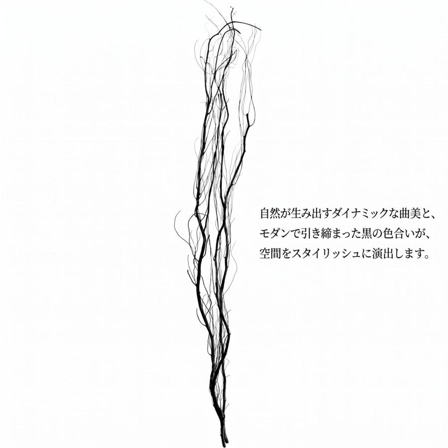 うんりゅう柳 雲竜柳 ドライフラワー おしゃれ ブラック 黒 ウンリュウ