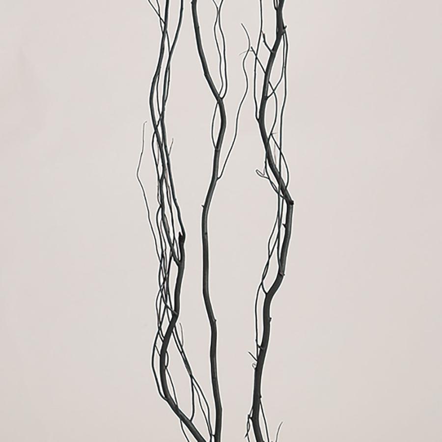 うんりゅう柳 雲竜柳 ドライフラワー おしゃれ ブラック 黒 ウンリュウ