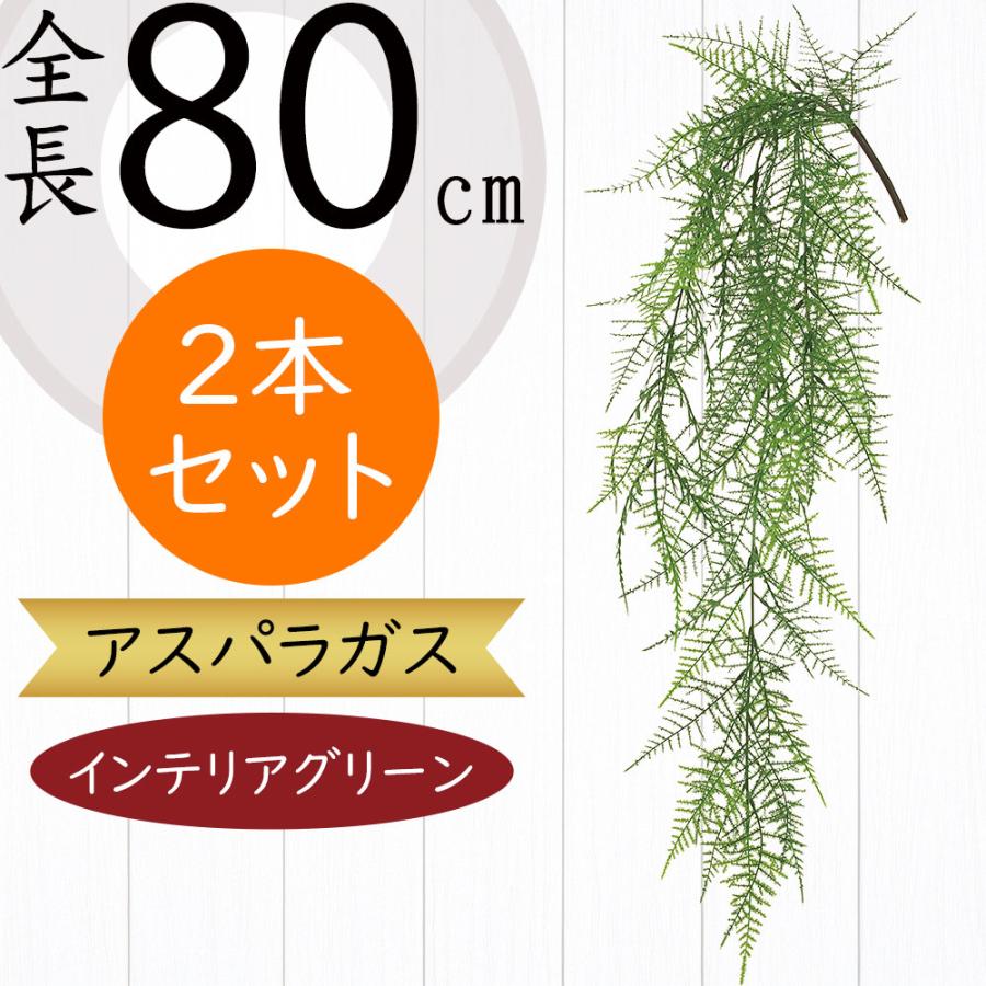 人工観葉植物 アスパラガス 全長80cm 2本セット スプレンゲリー タチボウキ シノブホウキ 造花 リーフ 花材 アレンジ Kd F19g3784 人工観葉植物と造花の通販ケイシン 通販 Yahoo ショッピング