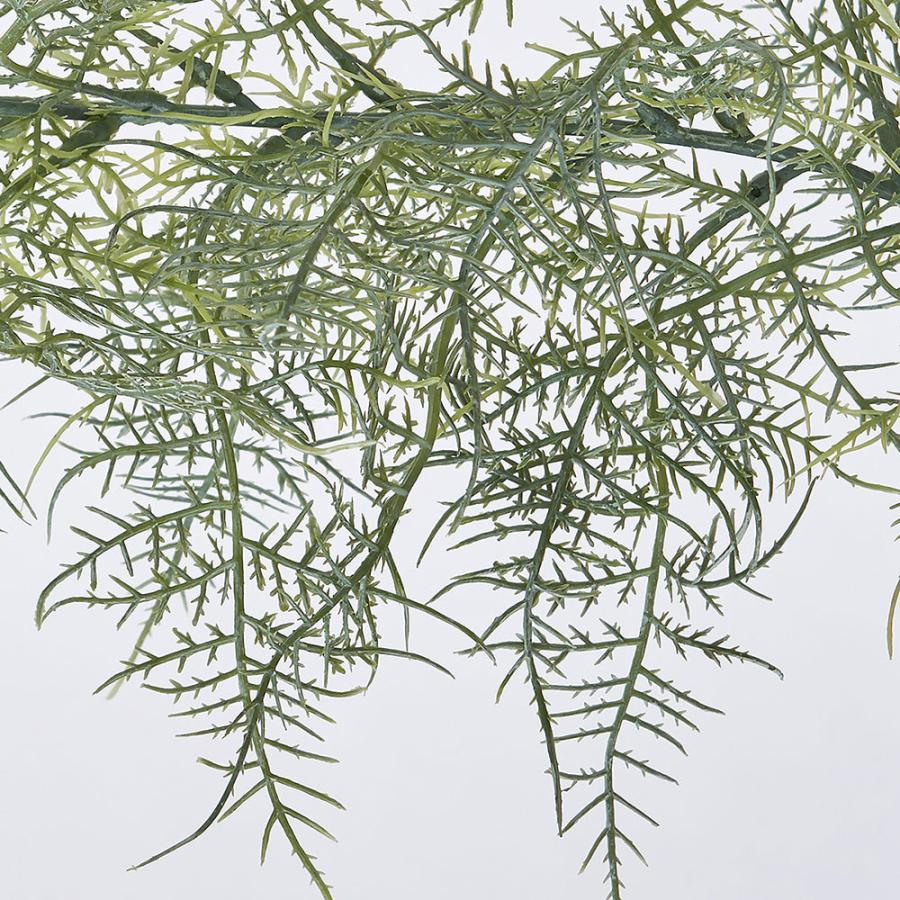 アスパラガス ガーランド 全長1 7m 2本セット 造花 フェイクグリーン インテリアグリーン 人工観葉植物 Kd F21g461 人工観葉植物と造花の通販ケイシン 通販 Yahoo ショッピング