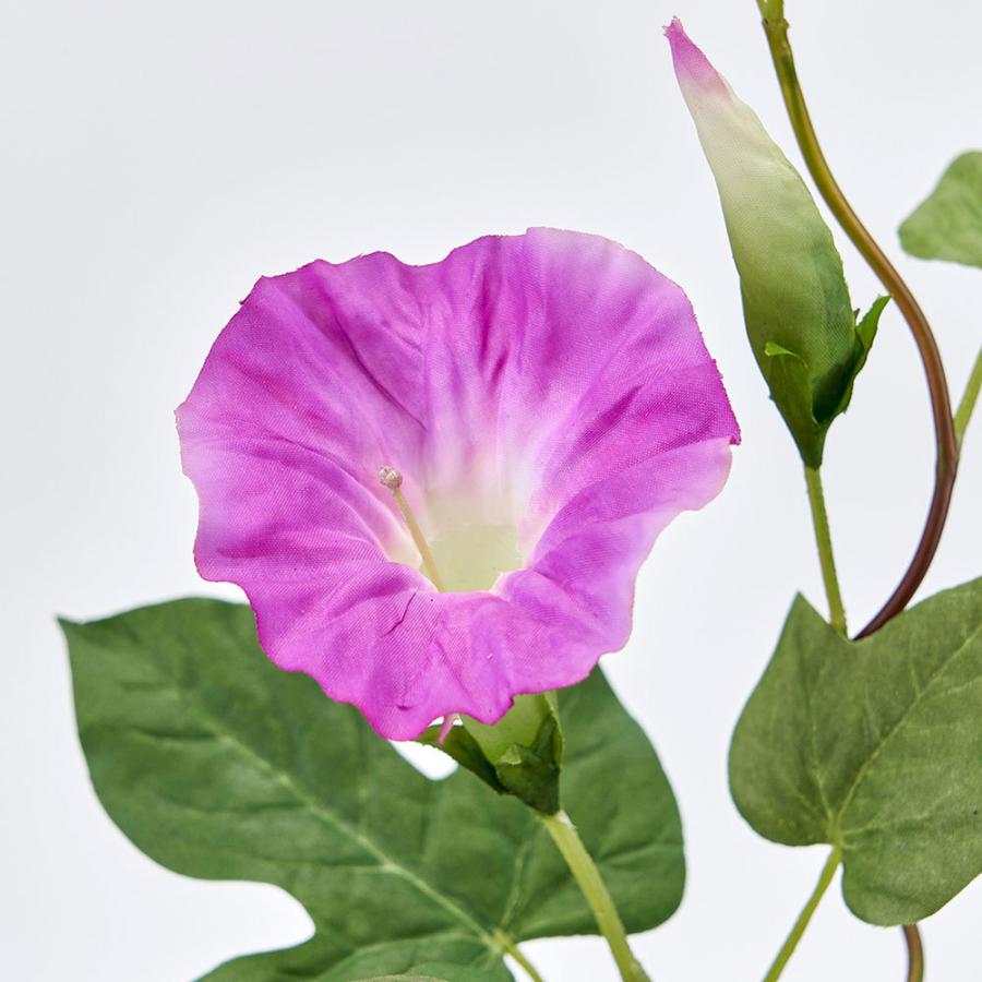 2年保証 あさがお 造花 全長35cm 4本セット アサガオ 朝顔 人工観葉植物 アーティフィシャルフラワー Cisama Sc Gov Br