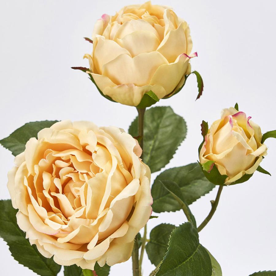 薔薇 造花 全長66cm 2本セット(ばら バラ ローズ アーティフィシャルフラワー アレンジ ギフト) :kd-f22m302900:人工観葉植物と 造花の通販ケイシン - 通販 - Yahoo!ショッピング 薔薇 造花 全長66cm 2本セット(ばら バラ ローズ アーティフィシャルフラワー アレンジ ギフト) :kd-f22m302900:人工観葉植物と 造花の通販ケイシン - 通販 - Yahoo!ショッピング