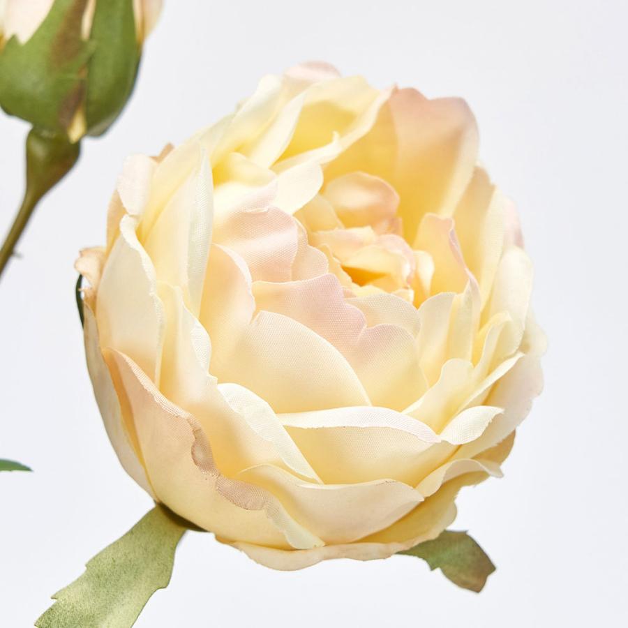 薔薇 造花 全長61cm 2本セット(ばら バラ ローズ アーティフィシャルフラワー アレンジ ギフト) :kd-f22m8315:人工観葉植物と造花の通販ケイシン - 通販 - Yahoo!ショッピング 薔薇 造花 全長61cm 2本セット(ばら バラ ローズ アーティフィシャルフラワー アレンジ ギフト) :kd-f22m8315:人工観葉植物と造花の通販ケイシン - 通販 - Yahoo!ショッピング