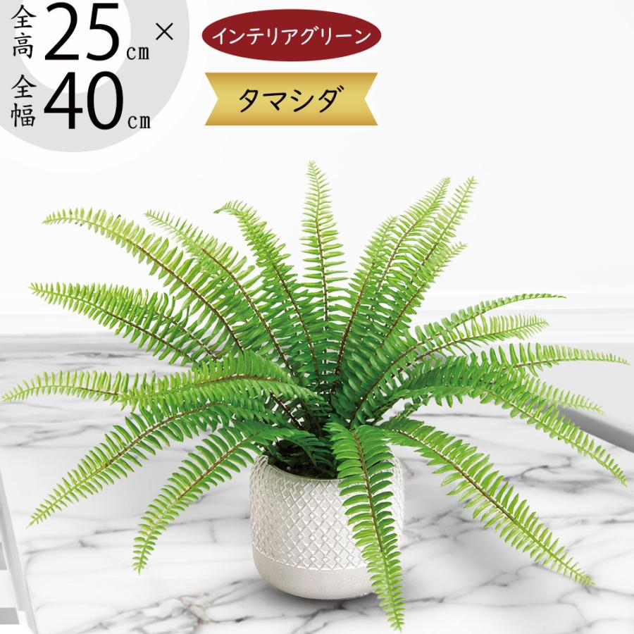 ボストンタマシダ 人工観葉 フェイクグリーン の商品一覧 花 ガーデニング 通販 Yahoo ショッピング