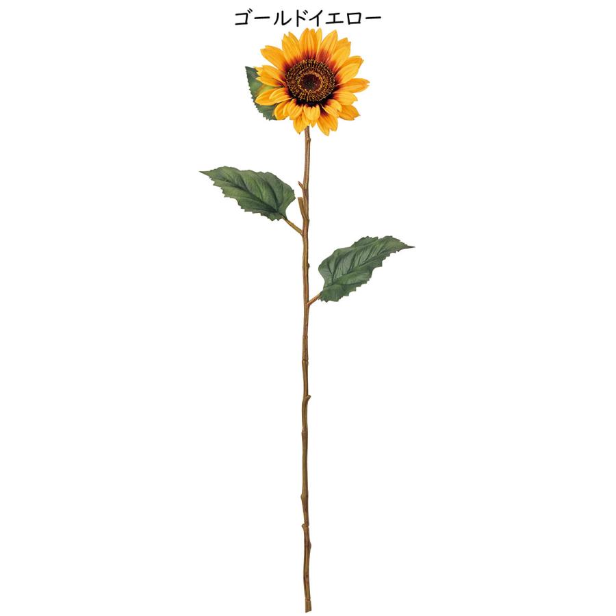 ひまわり様 千葉県館山産のひまわり | Flower Auction Japan | フラワー