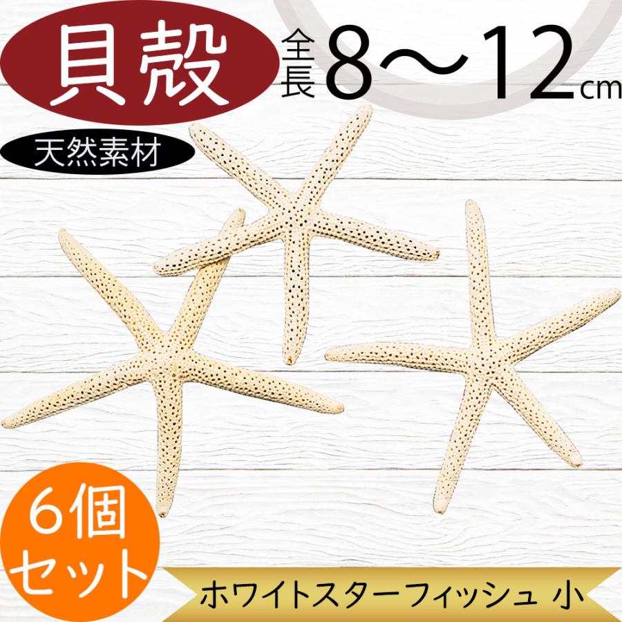 貝殻 貝がら シェル おしゃれ 人気 天然素材 ホワイト スター