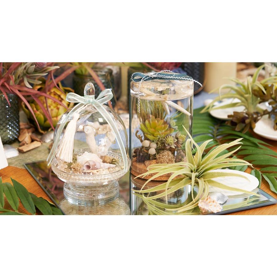 貝殻上の特大サンゴのインテリアオブジェ 約3７✕３３cm 貝殻上の特大サンゴのインテリアオブジェ 約37✕33cm