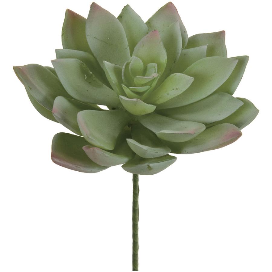 多肉植物 エケベリア フェイクグリーン おしゃれ インテリアグリーン