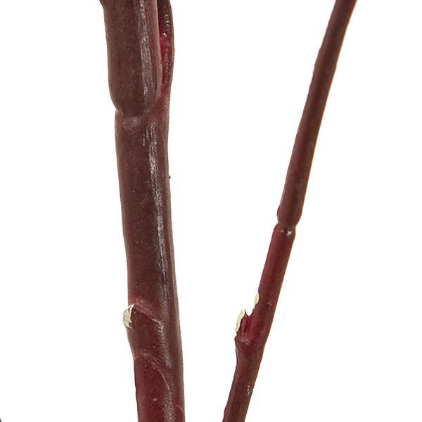 人工観葉植物 サンゴミズキ 全長180cm 珊瑚水木 枝もの 枝物 ブランチ 造花 人工樹木 花材 アレンジ Kd Fj246 人工観葉植物と造花の通販ケイシン 通販 Yahoo ショッピング