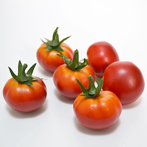 ミニトマト 直径3 5cm 18個セット フェイクフード 食品サンプル とまと トマト プチトマト 野菜 装飾 ディスプレイ 商品番号 K 3759 Kd Fv3759 人工観葉植物と造花の通販ケイシン 通販 Yahoo ショッピング