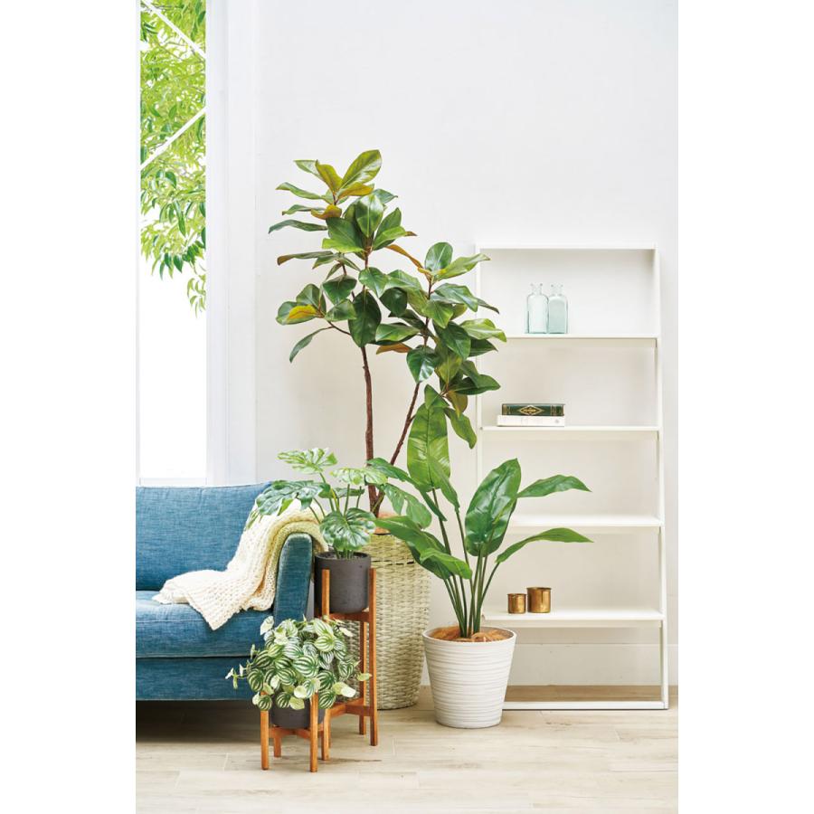モンステラ 人工観葉植物 全高50cm 人工樹木 造花 インテリアグリーン フェイクグリーン Kd Fz5702 人工観葉植物と造花の通販ケイシン 通販 Yahoo ショッピング