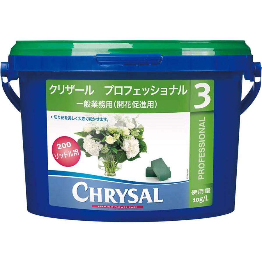 クリザール プロフェッショナル3 業務用 切り花用 切花用 2kg 6個