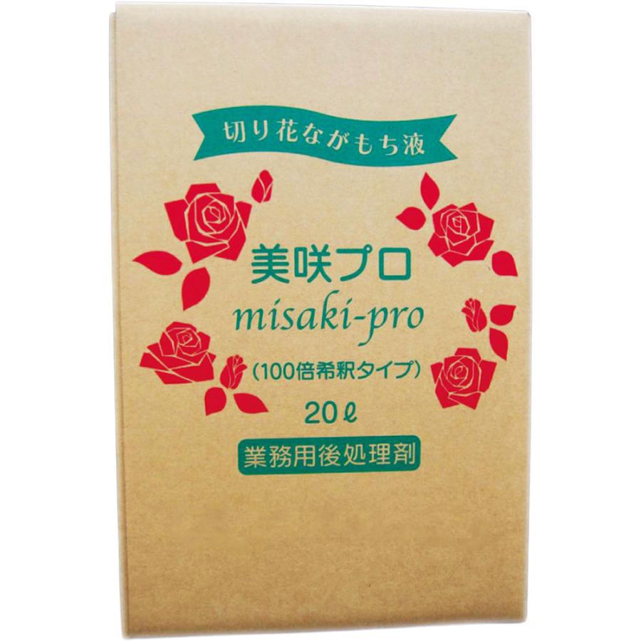 美咲労働者階級 20リッター 生け花店用 御勤め用 生け花用 切り花 切花 一般受け おフローリストさん お花申し合わせ 枝物 花材 フローラル原材料 園芸装具 含水炭素 無機イオン 抗菌剤