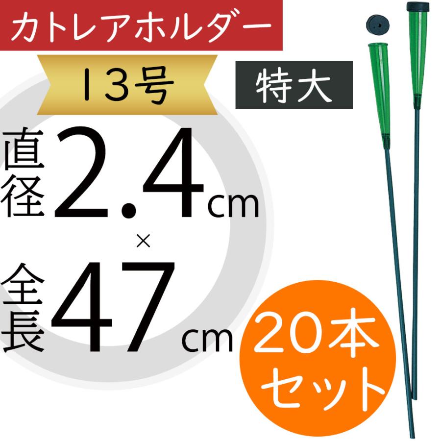 カトレアホルダー 特大 13号 フローラル資材 花材 切り花 生け花 生花