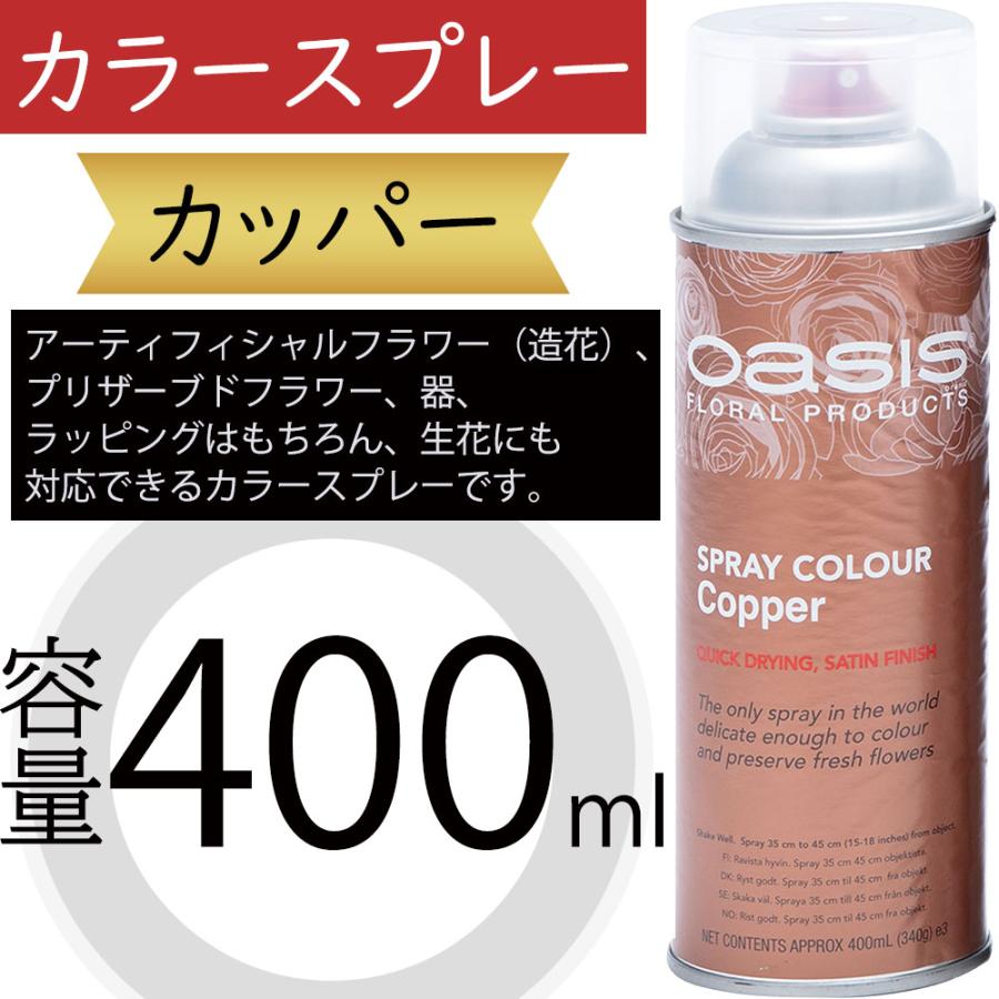 カラースプレー オアシス カッパー 400ml 生花 アーティフィシャル