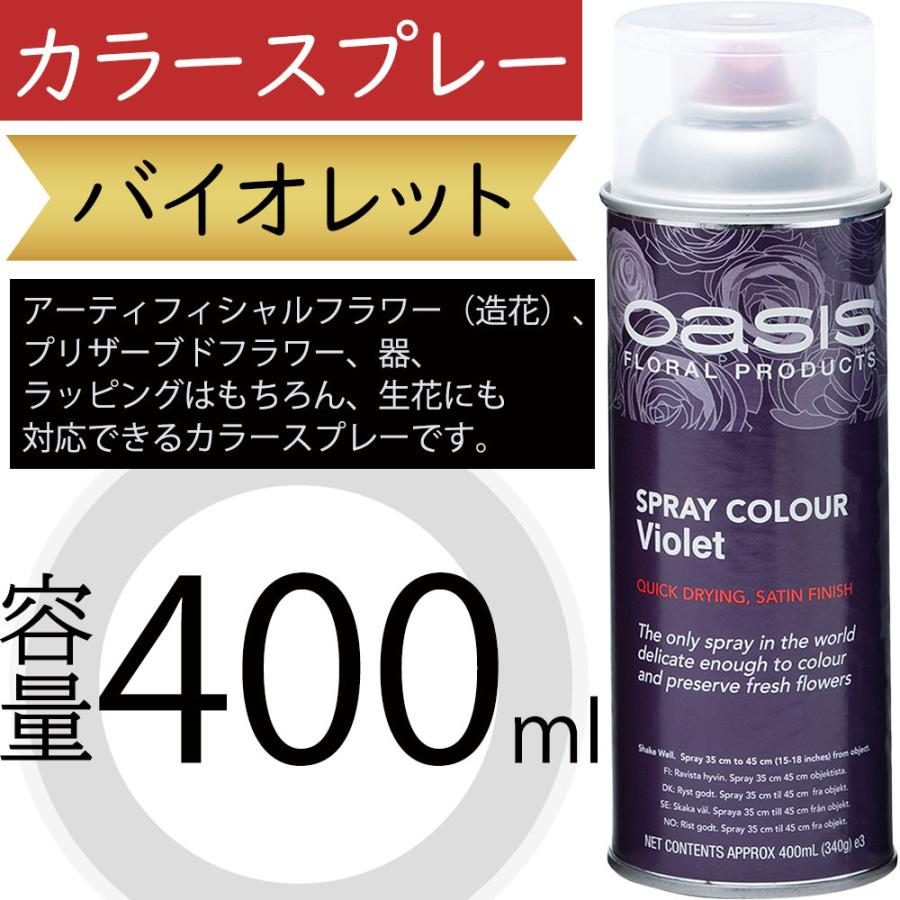 カラースプレー オアシス バイオレット 400ml 生花 アーティフィシャル