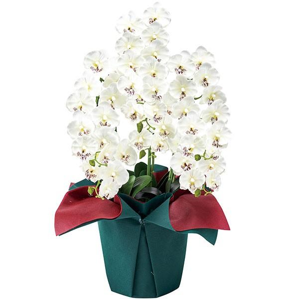 期間限定特価 胡蝶蘭 造花 光触媒加工 全高60cm 6本立 コチョウラン ラッピング付 鉢物 欄 ラン ギフト 贈答 贈り花 祝い花 商品番号 K 8060 Kd Zv8060 人工観葉植物と造花の通販ケイシン 通販 Yahoo ショッピング 最高の Lengor Restaurant Com