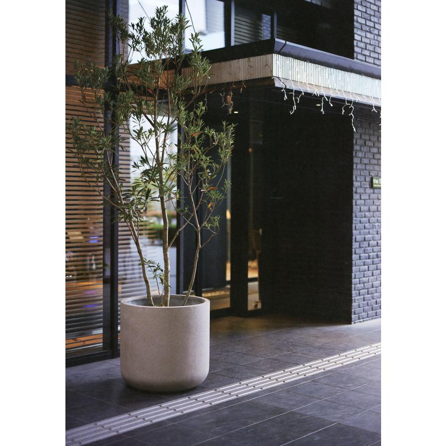 植木鉢 おしゃれ プランター 大型 観葉植物 ネーデル ユーポット 20号 植木鉢