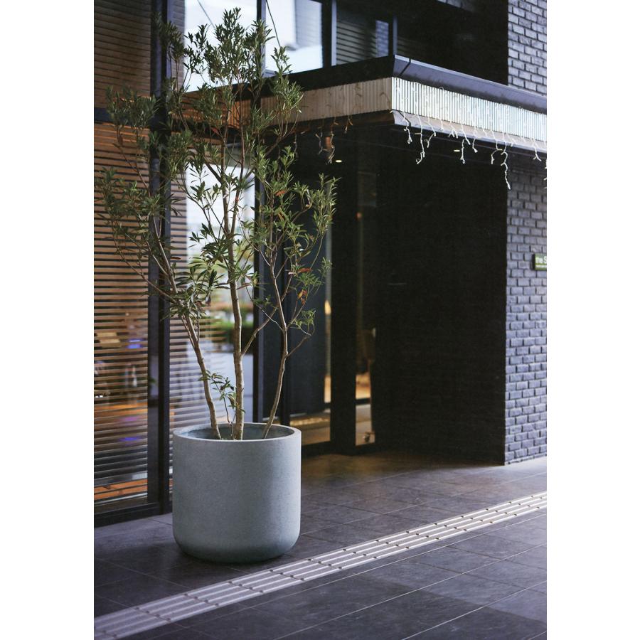 コンクリートプランター 大 植木鉢 おしゃれ プランター 大型 観葉植物 人気 おすすめ