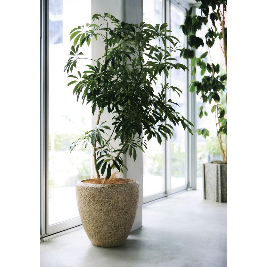 鉢カバー プランターカバー 大型 おしゃれ 人気 観葉植物 インドア