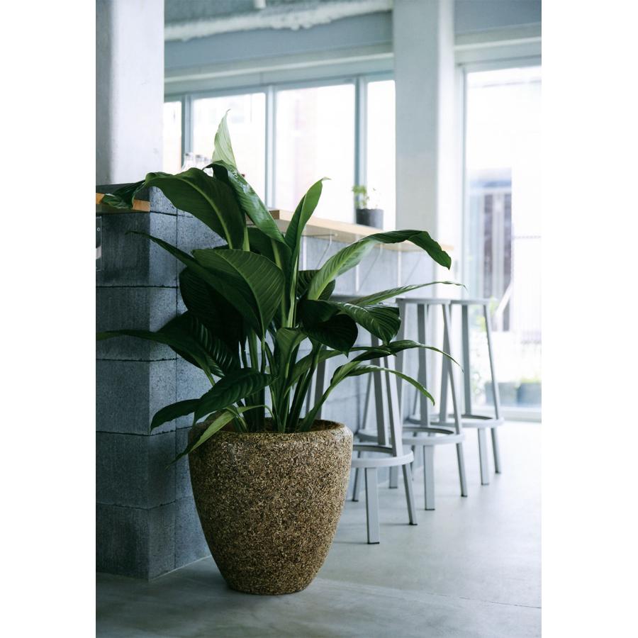 鉢カバー プランターカバー 大型 おしゃれ 人気 観葉植物 インドアグリーン 園芸鉢 ウッド 家具 ベージュ グレー ブラウン ネイチャーズキャスト ラウンド L50の画像