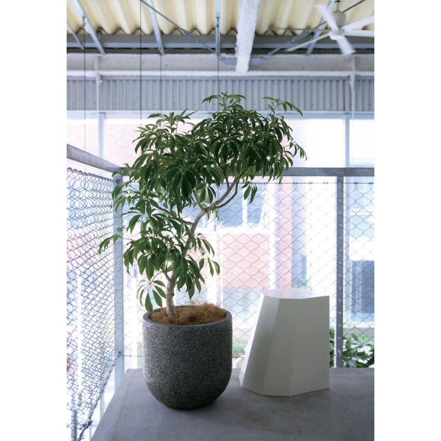 鉢カバー プランターカバー 大型 おしゃれ 人気 観葉植物 インドアグリーン 園芸鉢 ウッド 家具 ベージュ グレー ブラウン ネイチャーズキャスト ユーポット L50の画像