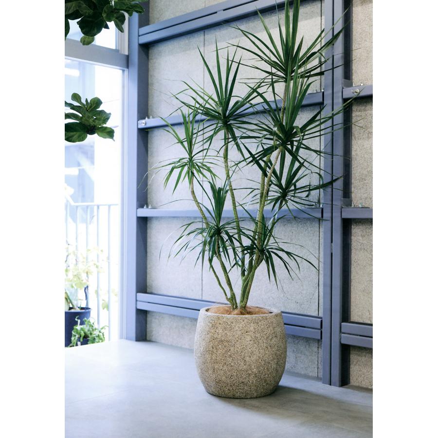 鉢カバー プランター カバー 大型 おしゃれ 人気 観葉植物 インドアグリーン 園芸鉢 ウッド 家具 ベージュ グレー ブラウン ネイチャーズキャスト バレル M46の画像