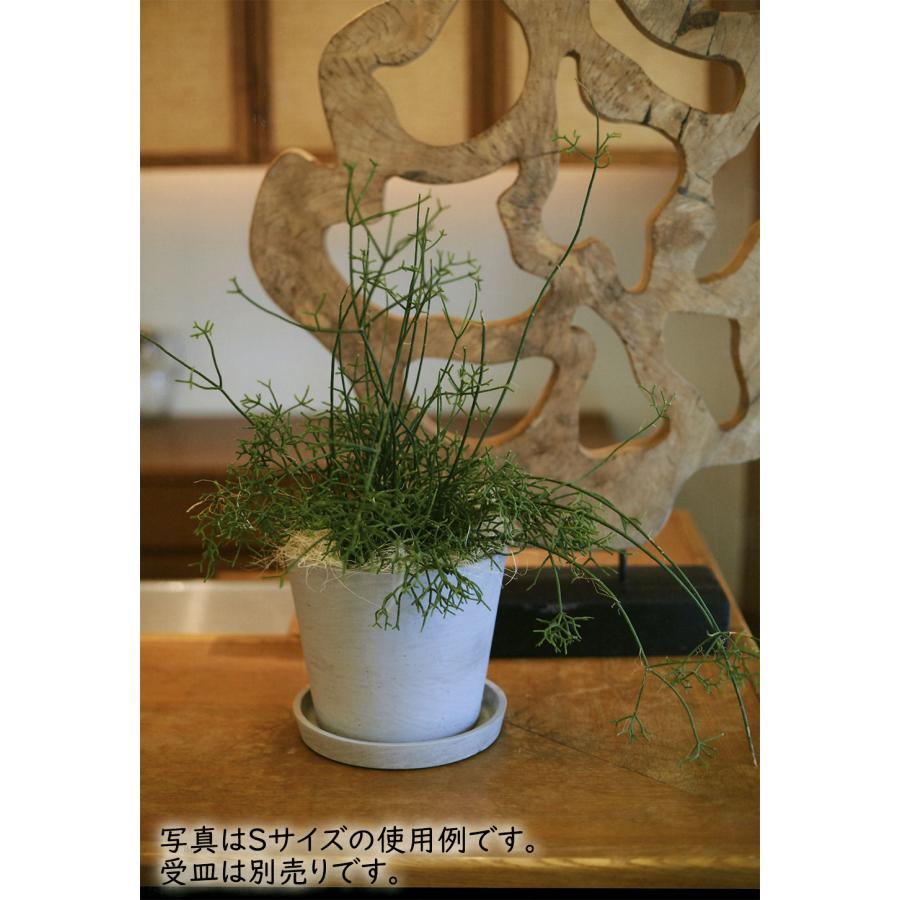 植木鉢 大型 おしゃれ プランター 観葉植物 人気 おすすめ 屋内 屋外