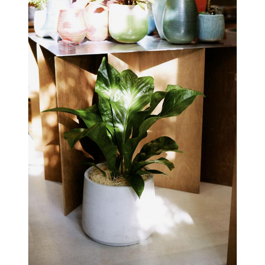 鉢カバー おしゃれ 大型 プランター 観葉植物 人気 おすすめ