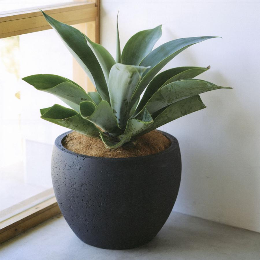 植木鉢 大型 おしゃれ 人気 プランター 観葉植物 おすすめ 園芸鉢 観葉