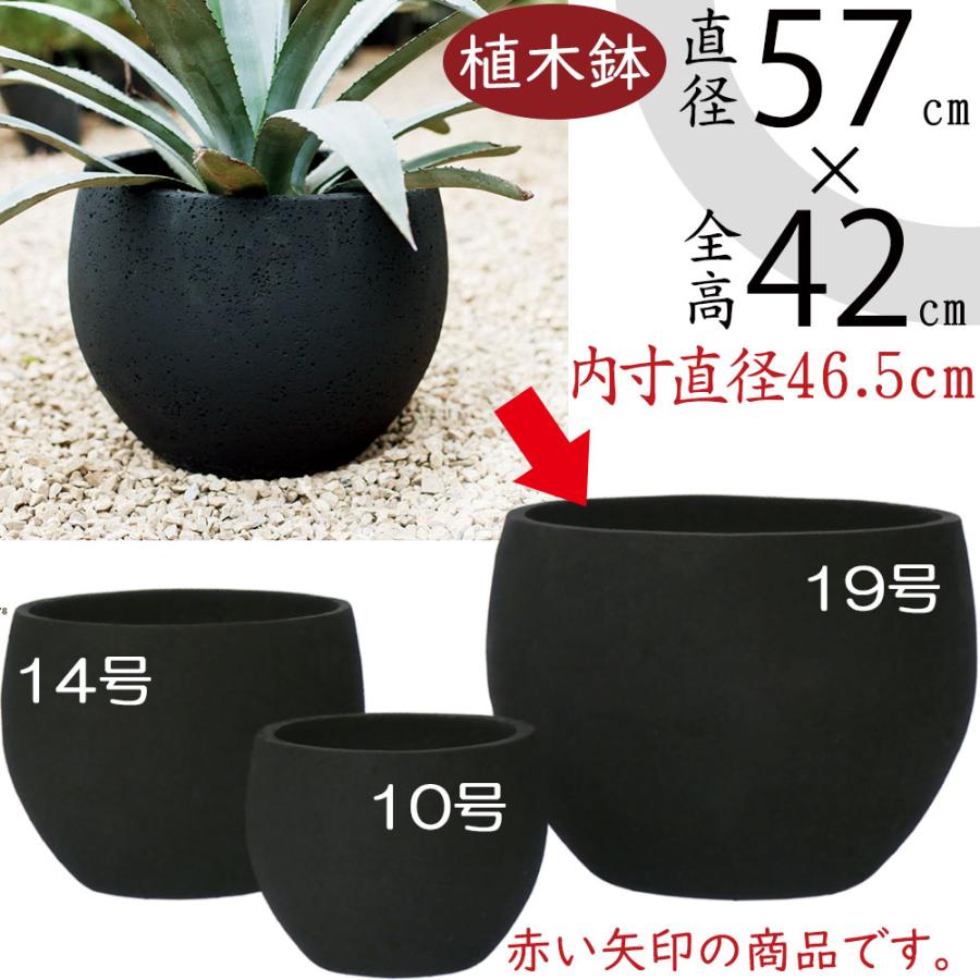 植木鉢 大型 おしゃれ 人気 プランター 観葉植物 おすすめ 園芸鉢 観葉