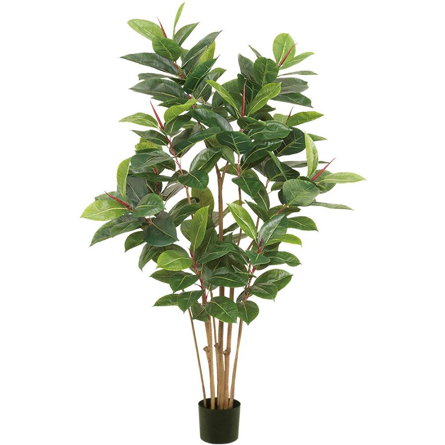 インテリアグリーン 人気 おしゃれ おすすめ リアル 観葉植物 フェイク