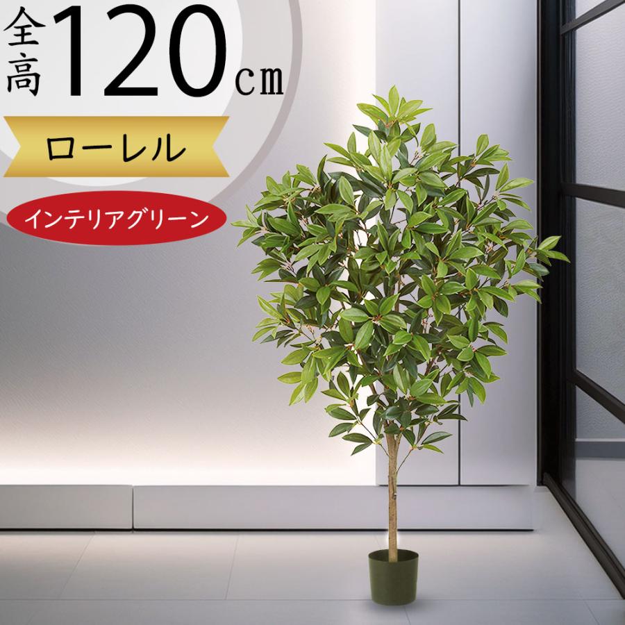 観葉植物 おしゃれ インテリアグリーン リアル 人気 フェイクグリーン