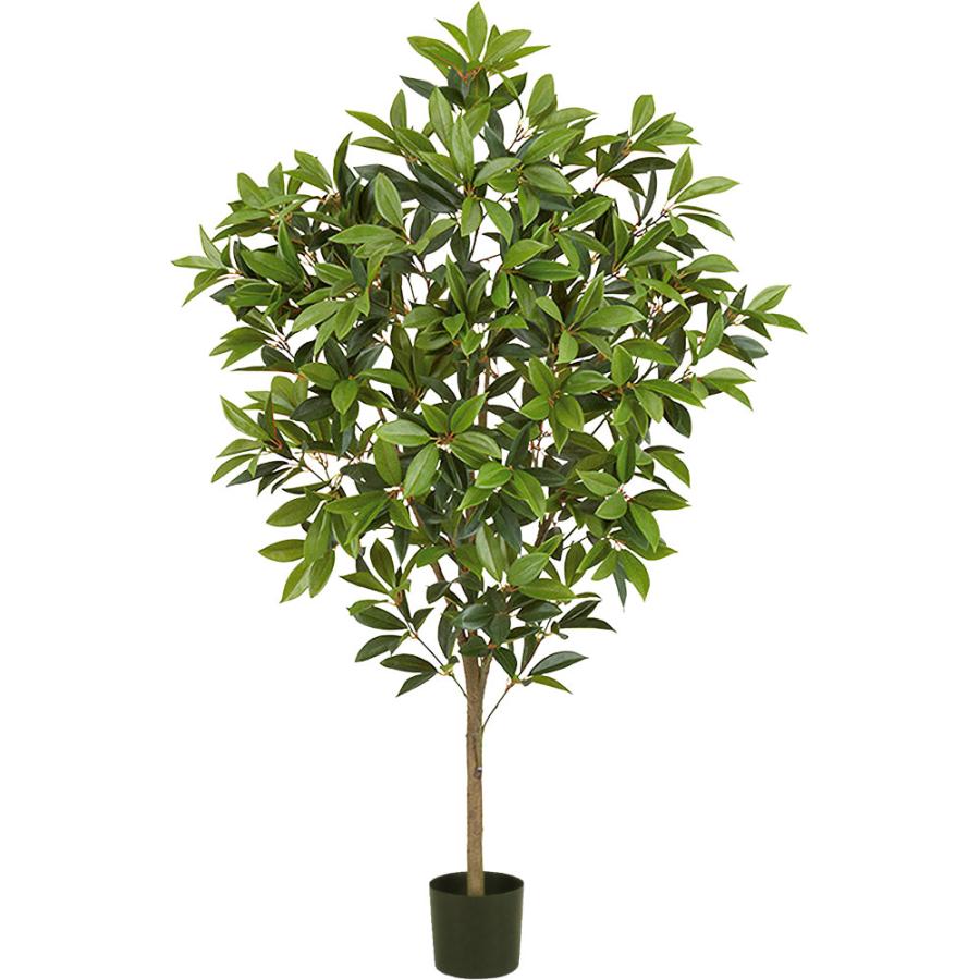 観葉植物 おしゃれ インテリアグリーン リアル 人気 フェイクグリーン