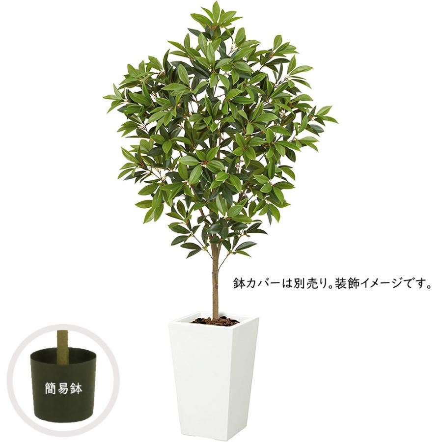 観葉植物 おしゃれ インテリアグリーン リアル 人気 フェイクグリーン