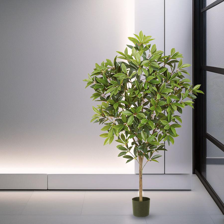 観葉植物 おしゃれ インテリアグリーン リアル 人気 フェイクグリーン