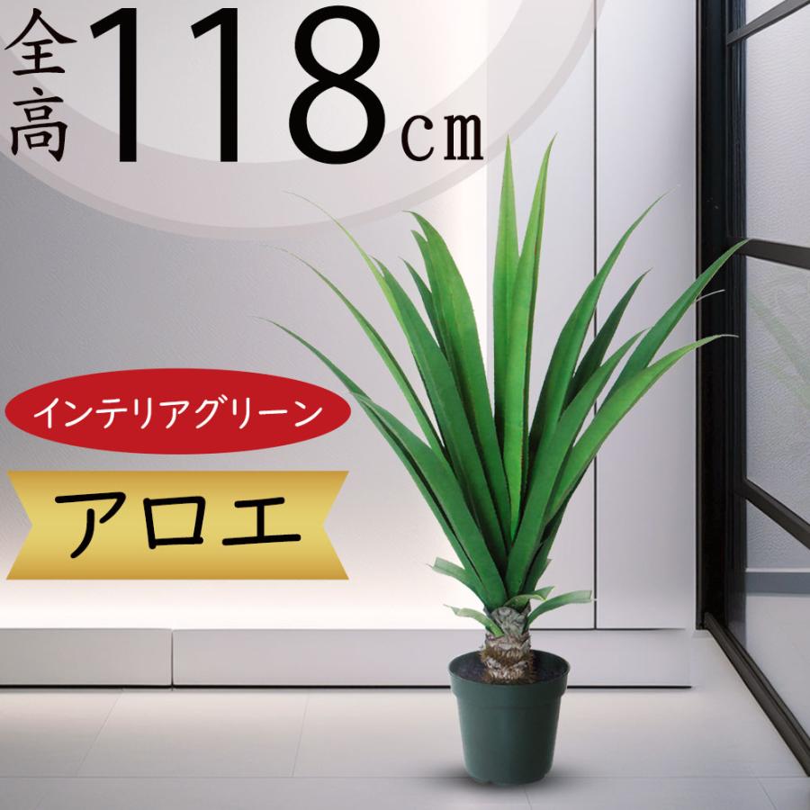 インテリアグリーン 多肉植物 アロエ おしゃれ 人気 リアル フェイク 