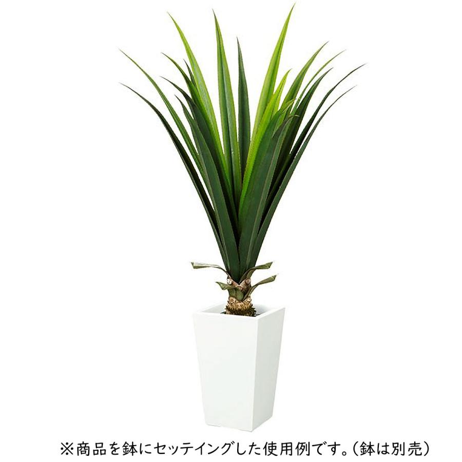 インテリアグリーン 多肉植物 アロエ おしゃれ 人気 リアル フェイク