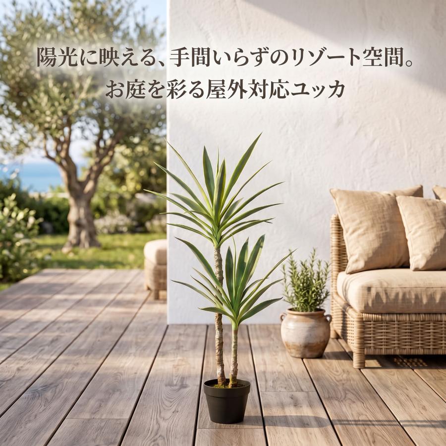 ドラセナ ユッカ 青年の木 屋外用 インテリアグリーン おしゃれ 人気