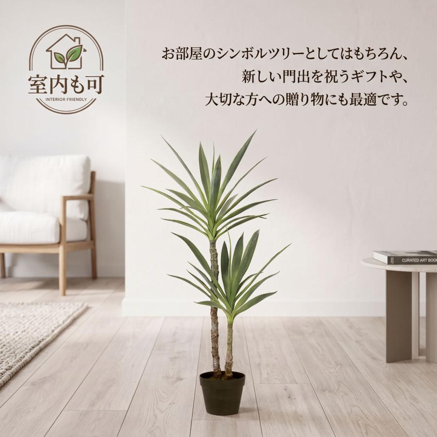 ドラセナ ユッカ 青年の木 屋外用 インテリアグリーン おしゃれ 人気