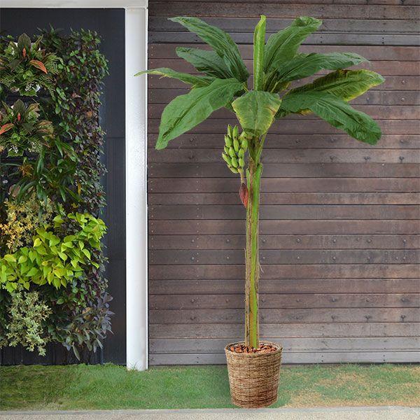 バナナの木 実付き 大型 全高2 4m 人工観葉植物 人工樹木 造花 フェイクフード インテリアグリーン フェイクグリーン Letr7616 人工 観葉植物と造花の通販ケイシン 通販 Yahoo ショッピング